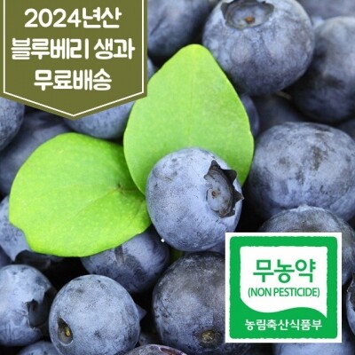 인제로컬푸드,인제 블루베리 생과 1kg 3kg 무농약 2024년산 무료배송 [로컬푸드]